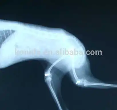 High quality agfa and fuji dry film clear image