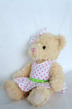Lovely small pure and fresh and lovers of literature bear