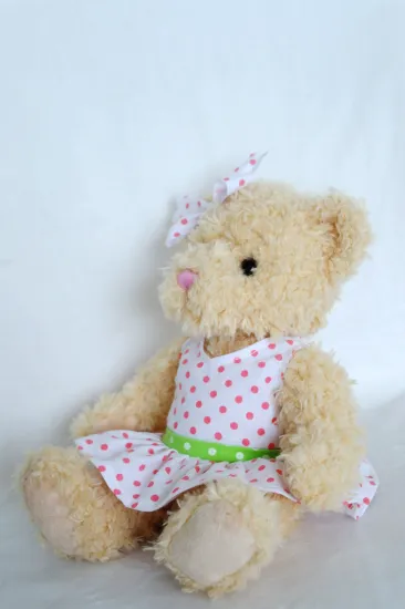 Lovely small pure and fresh and lovers of literature bear