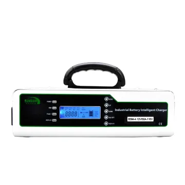 Portable 48V Battery Charger