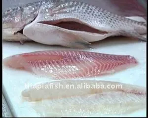 Bulk Tilapia Fillet