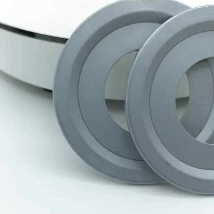 NILOS bearing seal rings, dust covers, oil retaining rings JV metal stamping machines 6006AV 16006AV
