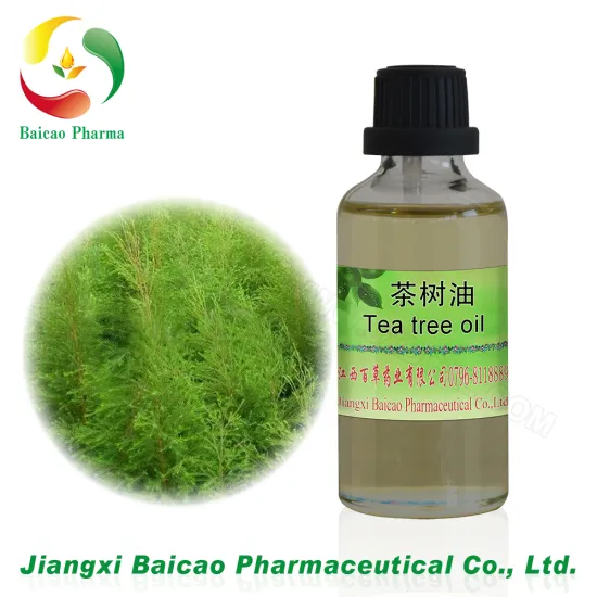 skin caring tree tea essential oil uses for face