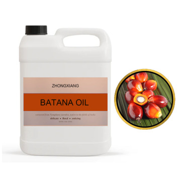 Anti -perda por atacado 100% natural de óleo orgânico puro Batana Batana Hair Oil para crescimento e nutrição capilar