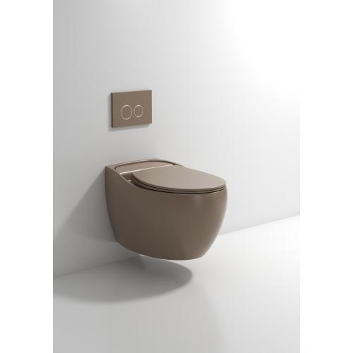 Wall Hung Toilet With Toilet Seat