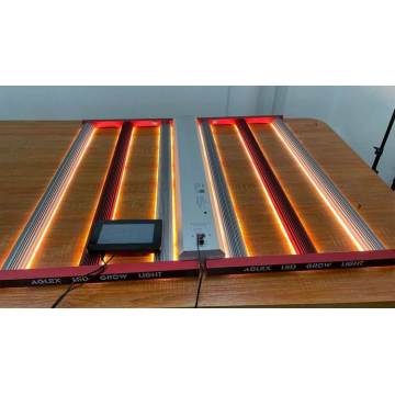 Hydroponics Commercial LED Grow Lights 700w para invernadero