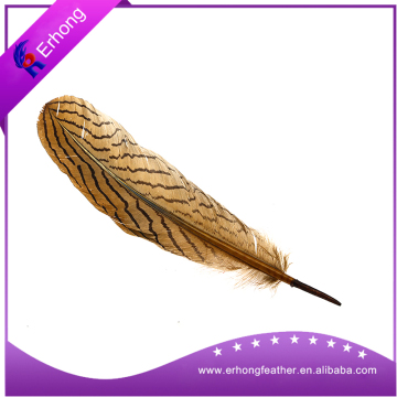 Dyed beautiful feather for Carnival party