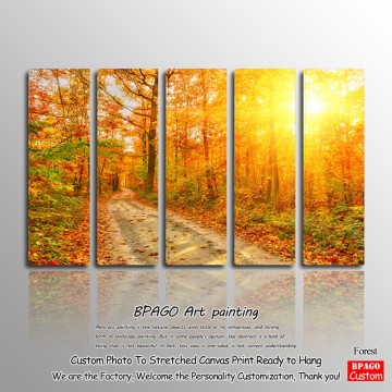 Wall hanging stretched canvas scenery paintings