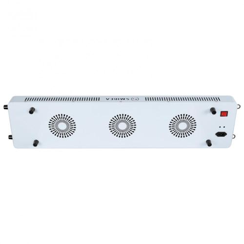 Red Light Therapy Bulbs For Clinic