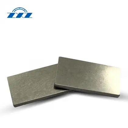High Performance Oil Free Vane for Orion Pump