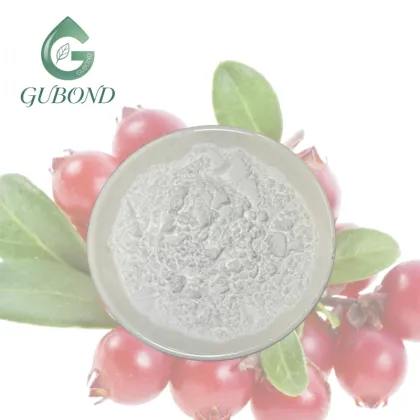 Alpha Arbutin Powder for Dietary Supplement Ingredients