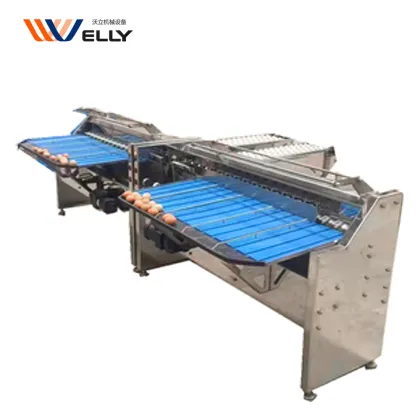 Egg Classifier Machine for Chicken Farms: Feedback-Focused Fish Egg and Duck Egg Grading & Sorting by Weight