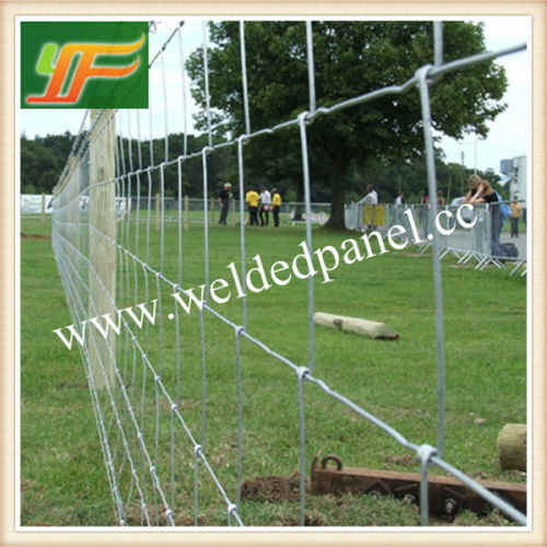 Hot Dipped Galvanized Deer Fence /Goat Fence /Cattle Fence