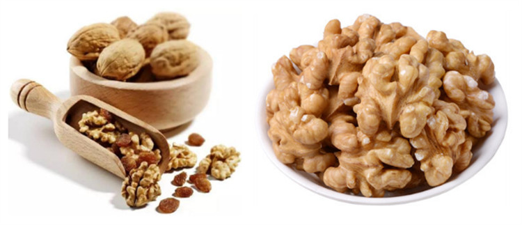 Walnut Peptide