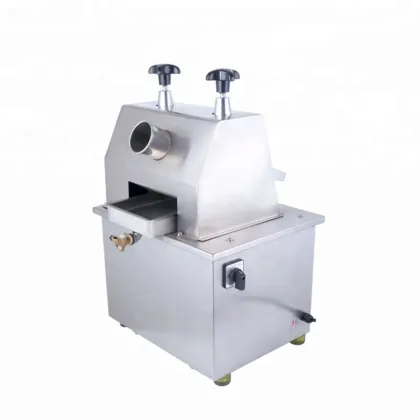 Home Use Sugarcane Juice Extractor Machine