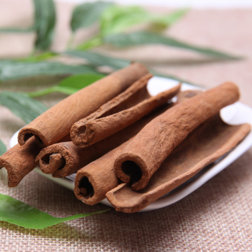 Memasak makanan rempah kayu manis yang sihat