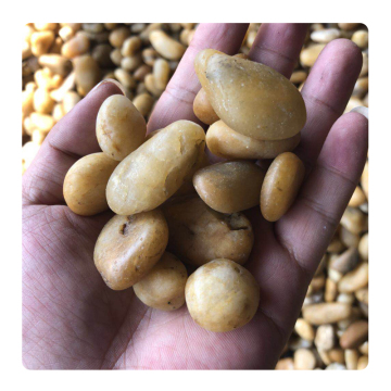 Hot Selling Yellow Polished River Rock Cobblestones for Outdoor Garden and Landscape Decorating