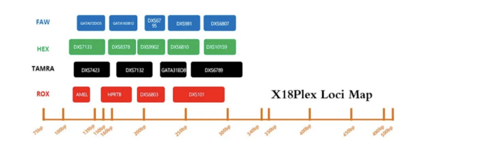X18 Plex Str Detection Kit