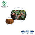 Upright Datura Flower Extract – Natural Scopolamine Source for Pharma