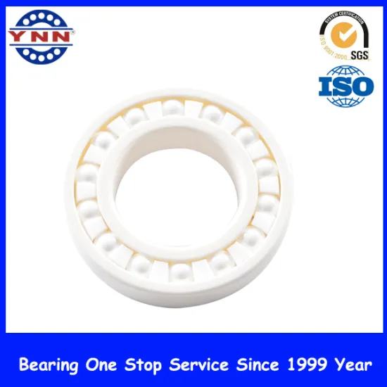 China Full Si3n4 Ceramic Ball Bearing (6006 6206 6306)