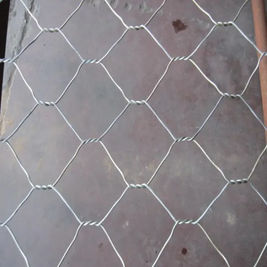 Chicken wire mesh / hexagonal wire netting (Factory))