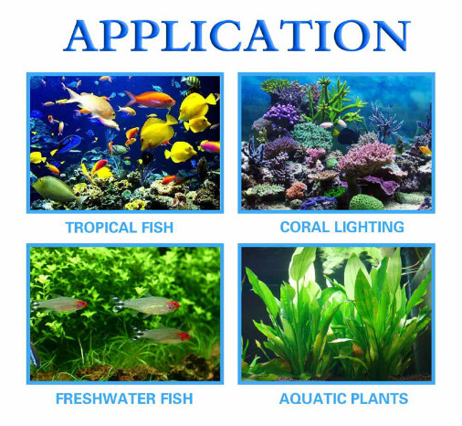 LED Aquarium Lighting