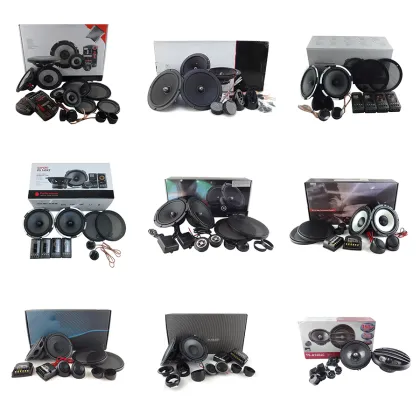 Hanson D Hot Sale 1200W Audio Speaker - Car Powered Subwoofers