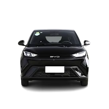 2025 BYD Seagull 5 places voiture électrique - EV à grande vitesse