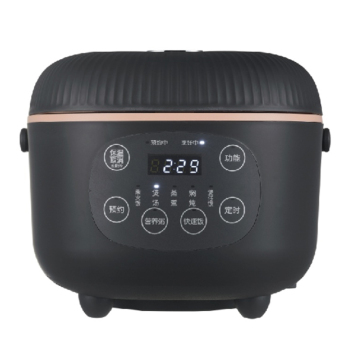 Cooker di riso elettrico professionale di Oushine: pentole a multifunzione intelligente, intelligente per casa e cucina