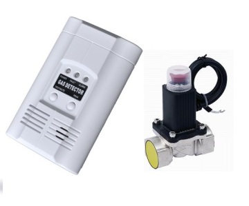 Combustible Gas Detector With Solenoid Valve