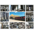 Chinese Angelica Extract (Radix Angelicae Sinensis)