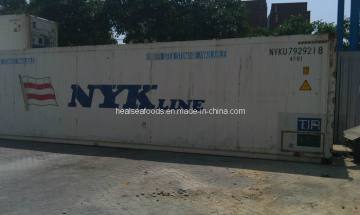 Second Hand Reefer Container