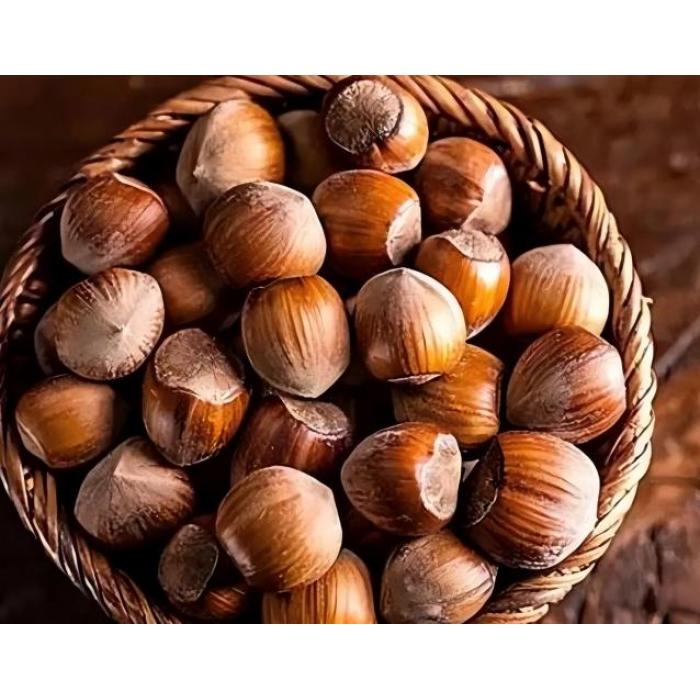 Deliciosas avelãs leopardo enlatadas