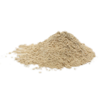 organic brown rice protein powder