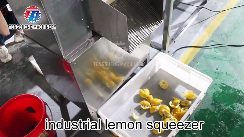 industrial juice extractor
