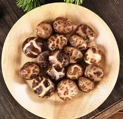 Jingshan Jin Basswood Mushrooms