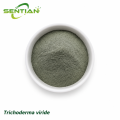 Trichoderma viride Root Rot Control Biofungicide