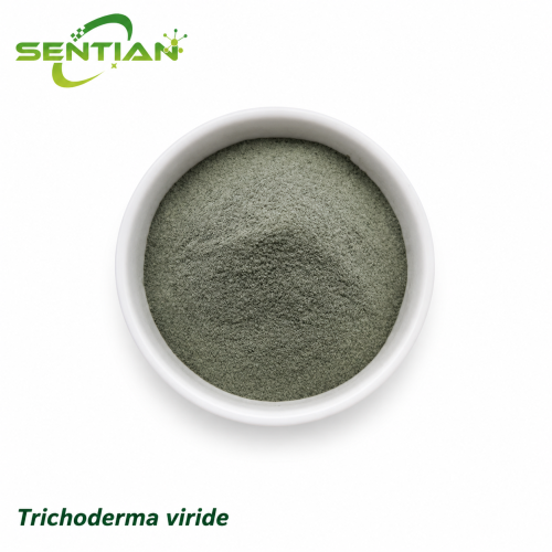 Trichoderma viride Root Rot Control Biofungicide