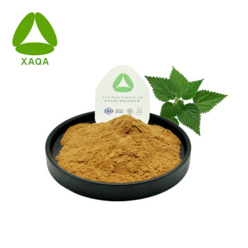 Nettle chiết xuất silica 1% bột điều trị viêm khớp