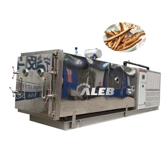 5m2 Freeze Dryer Machine for Food: A Comprehensive Guide to Freeze Drying Technology in Culinary Preservation