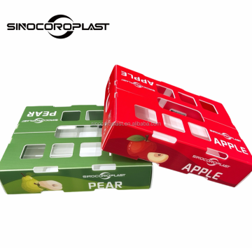 Recyclable Corflute Tomato and Vegetable Boxes