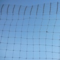 Plastic Square Anti Bird Netting