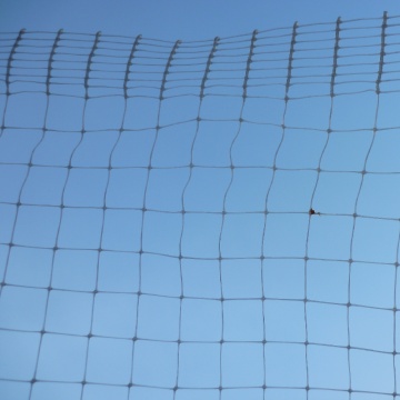 Quadratische Plastikvogelschutznetze