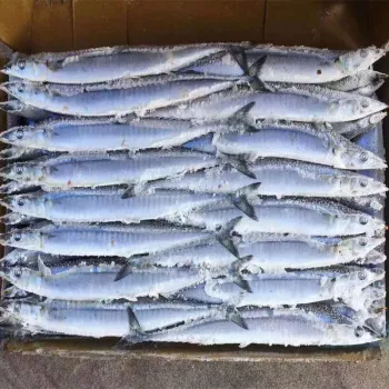 Frozen Saury WR all size available for Russia market