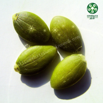 High Quality Peanuts Green Skin Pumpkin Kernels