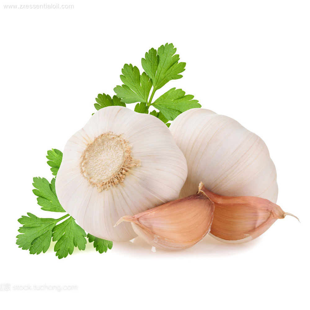 Food grade 100% organic garlic essential oil