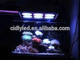 cidly sunrise and sunset led aquarium light 6 for marine aquarium, reef and corals, golden fish
