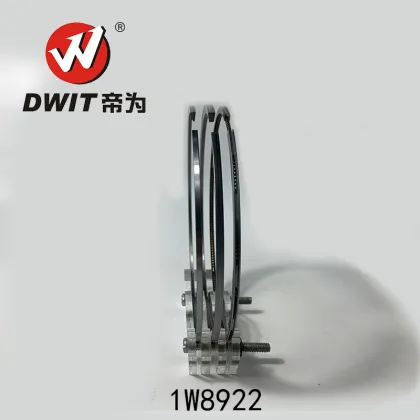 High Quality Piston Ring Set 1W8922 for Caterpillar - Dwit Spare Parts