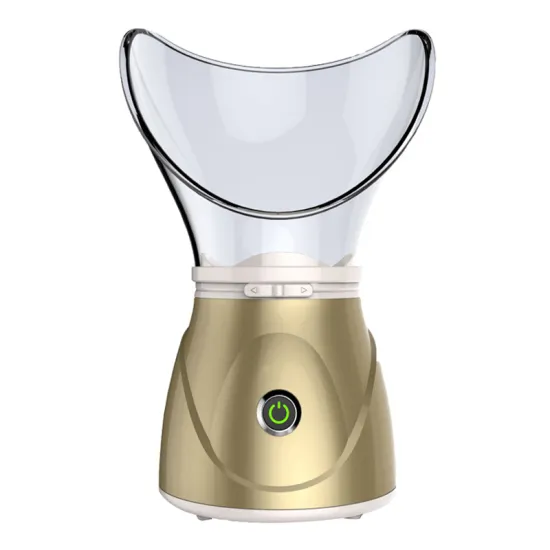 Facial Steamer Nano Ionic Hot Mist Humidifier Atomizer