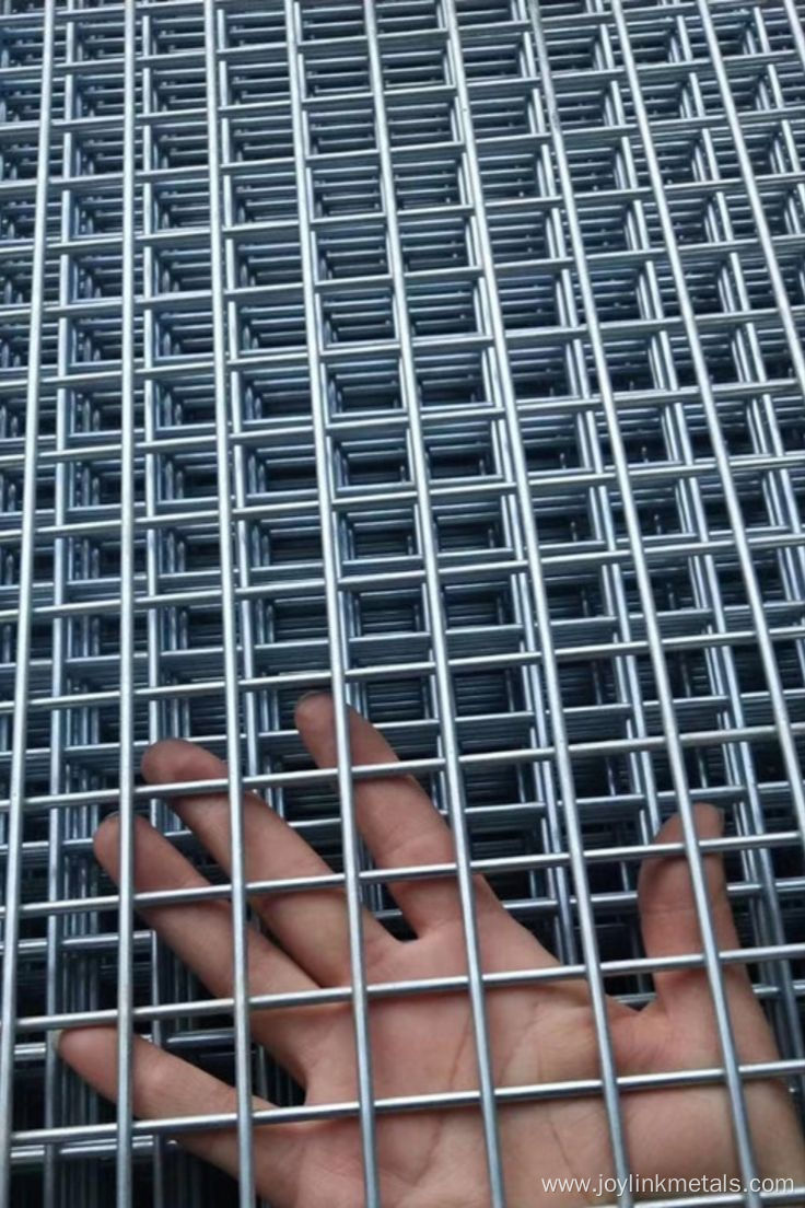 Welded Wire Mesh for Animal Metal Cage